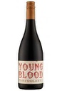 Tomfoolery Young Blood Shiraz 2019